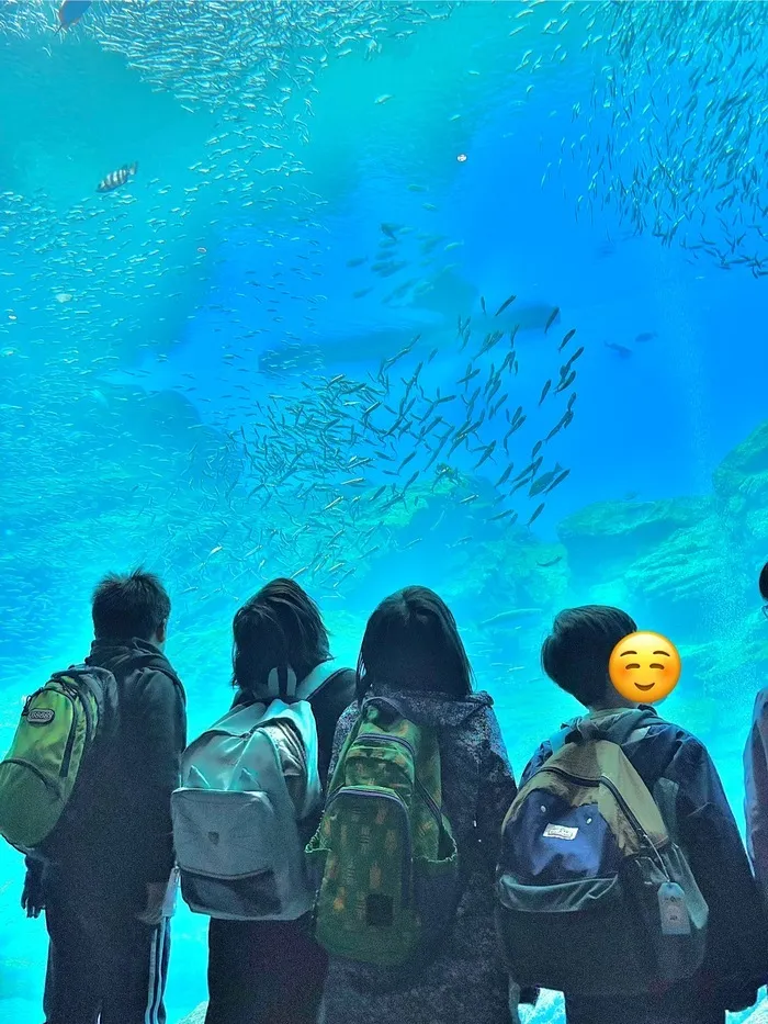 杜のつぐみ療育園 新田東園/仙台うみの杜水族館に行きました🐟🦈🐡