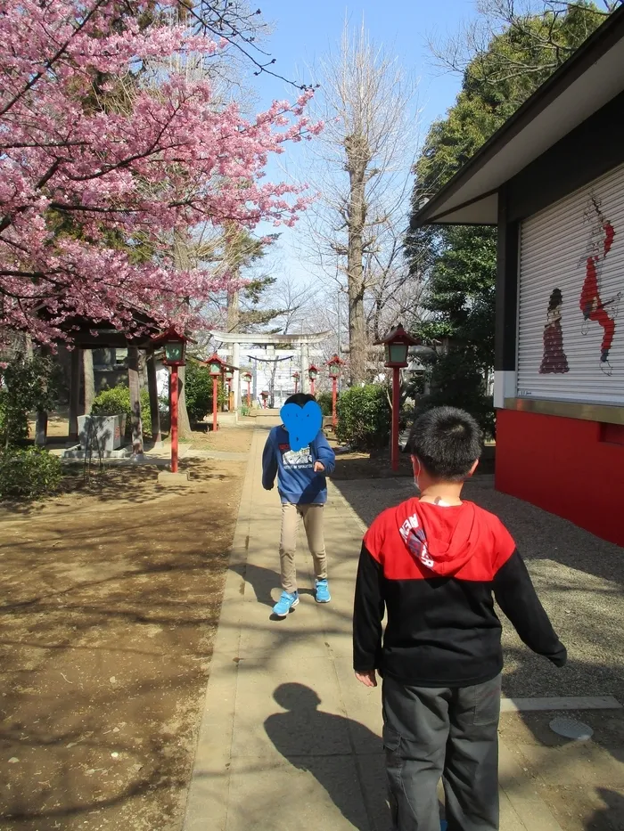 こぱんはうすさくら川越岸町教室/お散歩🌸