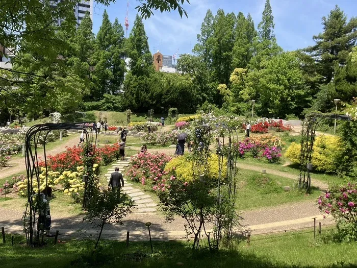  シンフォニー　児童発達支援・放課後等デイサービス/うつぼ公園🌹