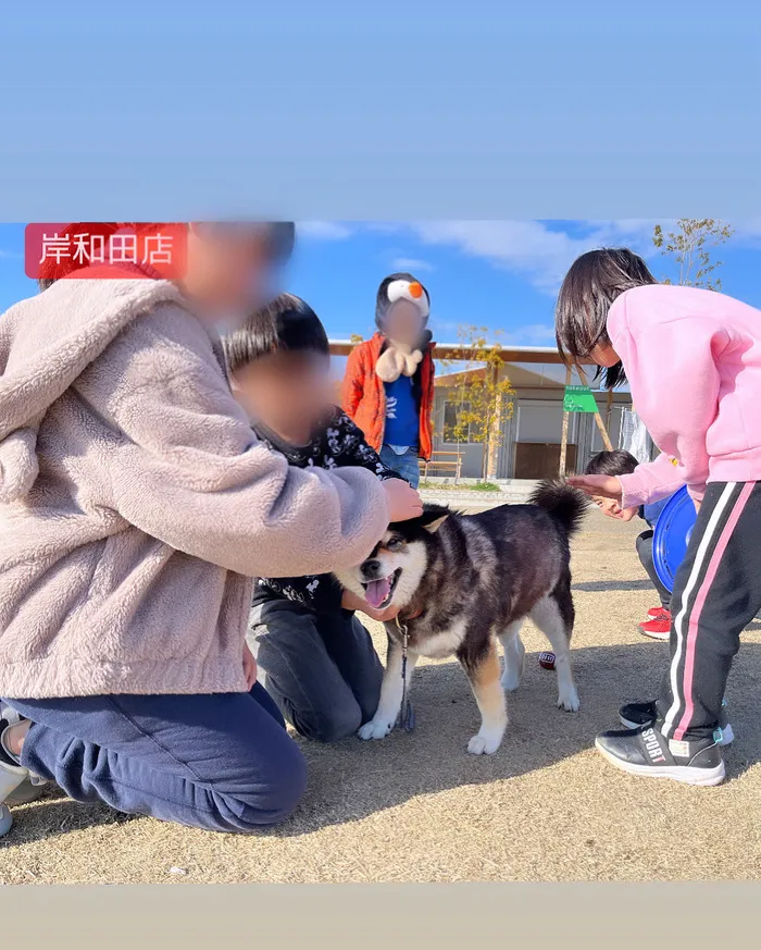 児童発達支援／放課後等デイ　清流の家　岸和田/🐶公園🐕