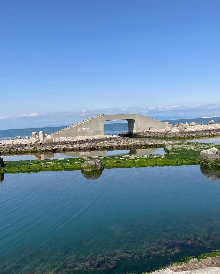 児童発達支援／放課後等デイ　清流の家　岸和田/🏖里海公園2🏖