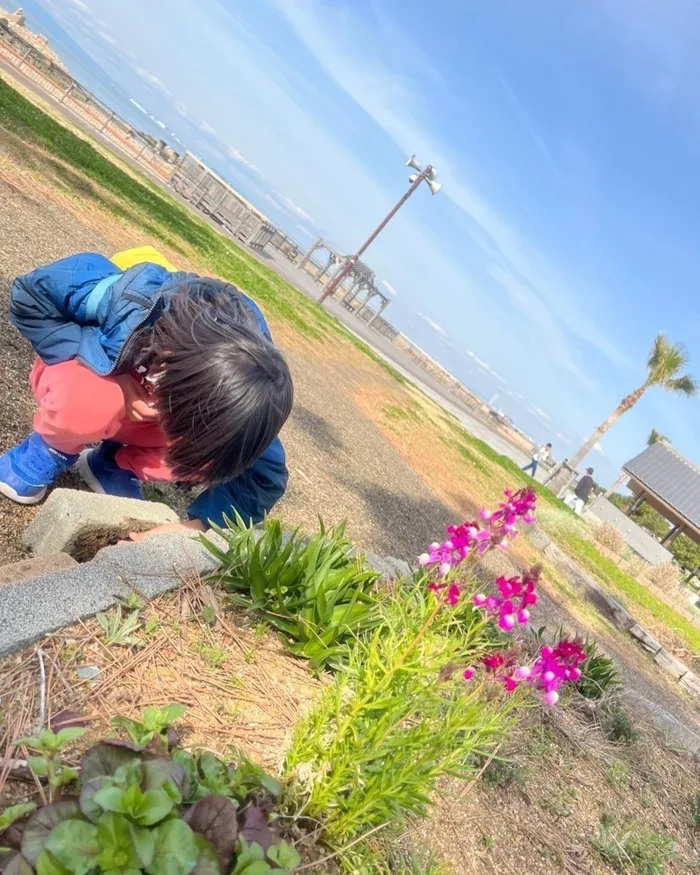 児童発達支援／放課後等デイ　清流の家　岸和田/🌼お花つみ🌸