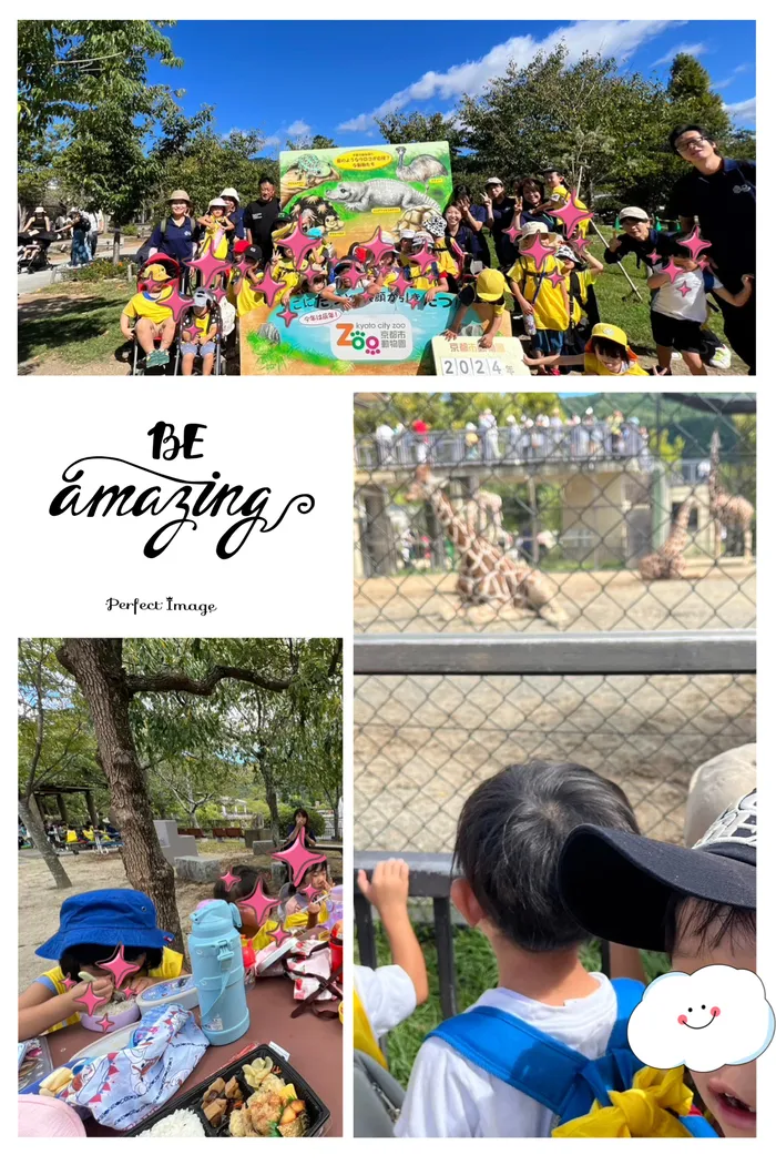 ウィングハート/京都市動物園‼️