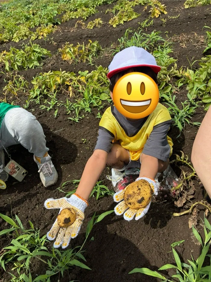 ブロッサムジュニア　富士見鶴瀬教室/【畑への取り組み～⑧】 野外活動（農業体験）のご報告