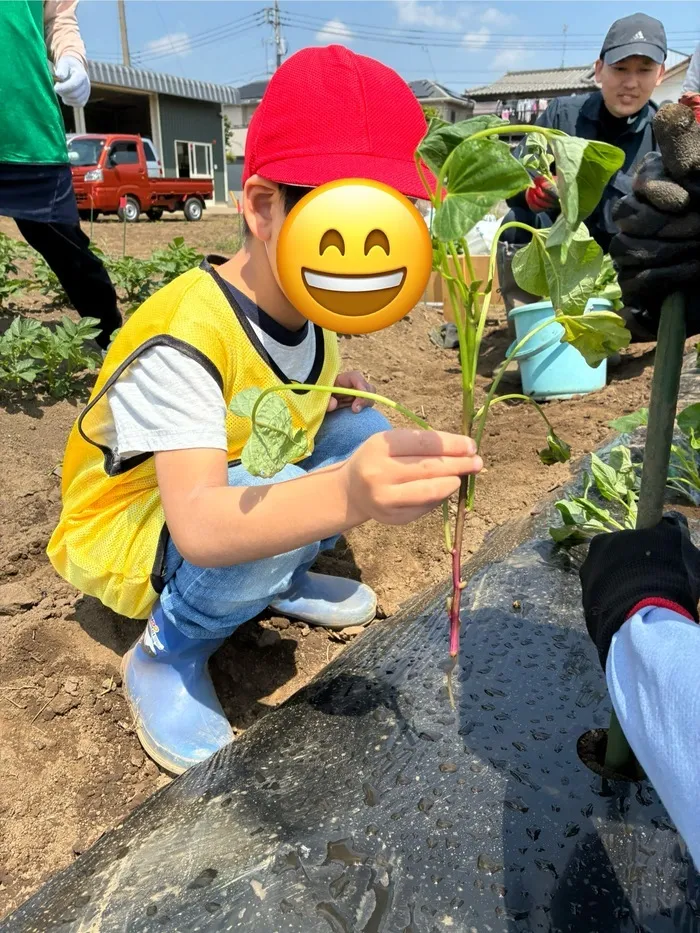 ブロッサムジュニア　富士見鶴瀬教室/【畑への取り組み～⑦】 野外活動（農業体験）のご報告