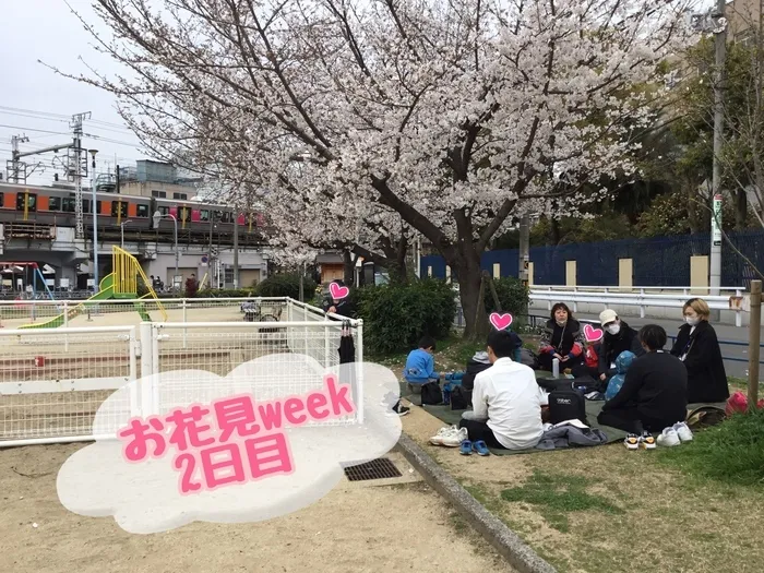 それいゆ/お花見week2日目🌸