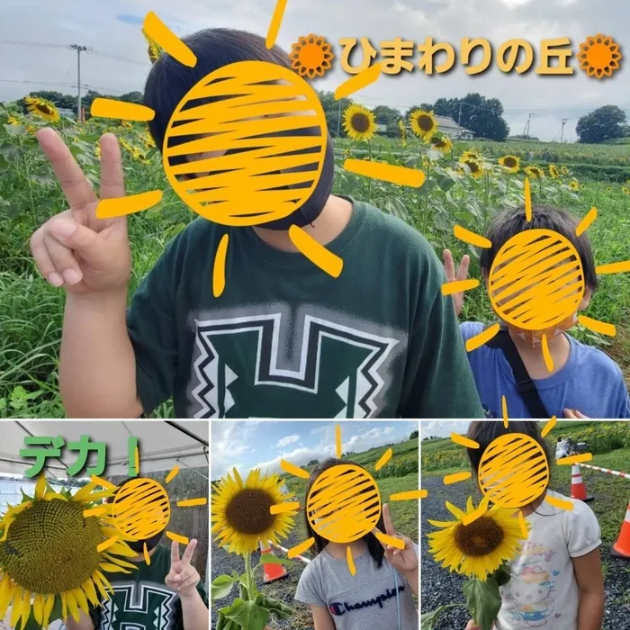 こどもみらいアイビー向陽台/🌻三本木「ひまわりの丘」🌻