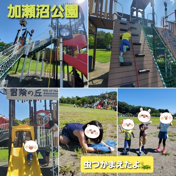 こどもみらいアイビー向陽台/「加瀬沼公園」へ行きました～♪