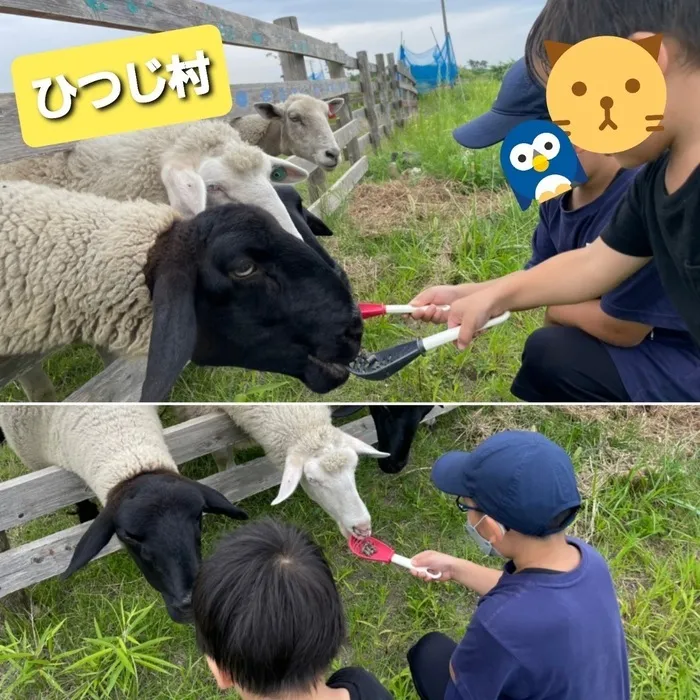 こどもみらいアイビー向陽台/🐏「ひつじ」村へ行きましたよ🐏