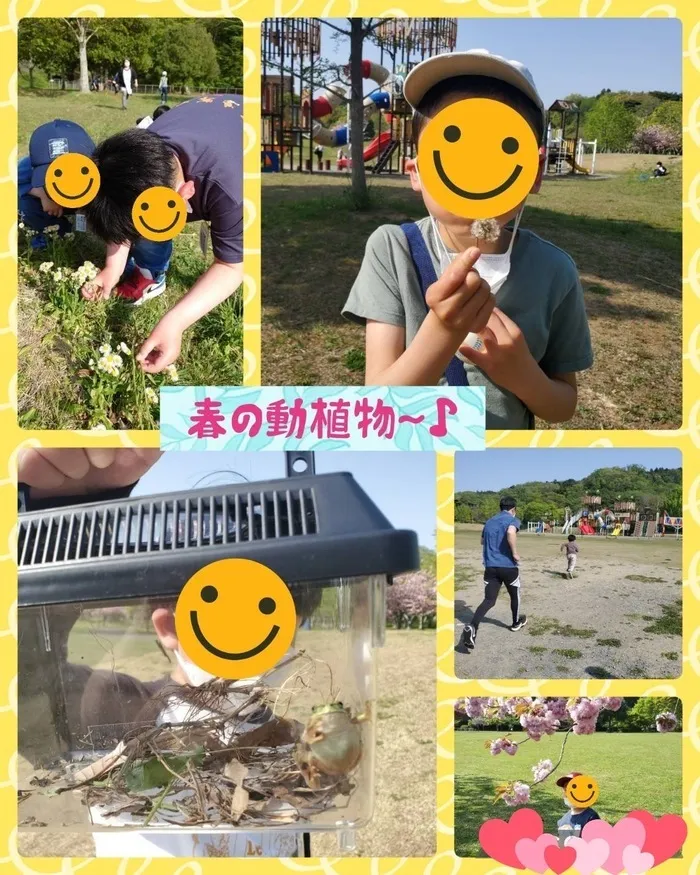 こどもみらいアイビー向陽台/公園にはね・・・