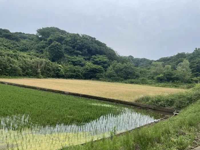  LaLaLand療育スクール アトリエGift戸塚　Little/舞岡公園へ🚌