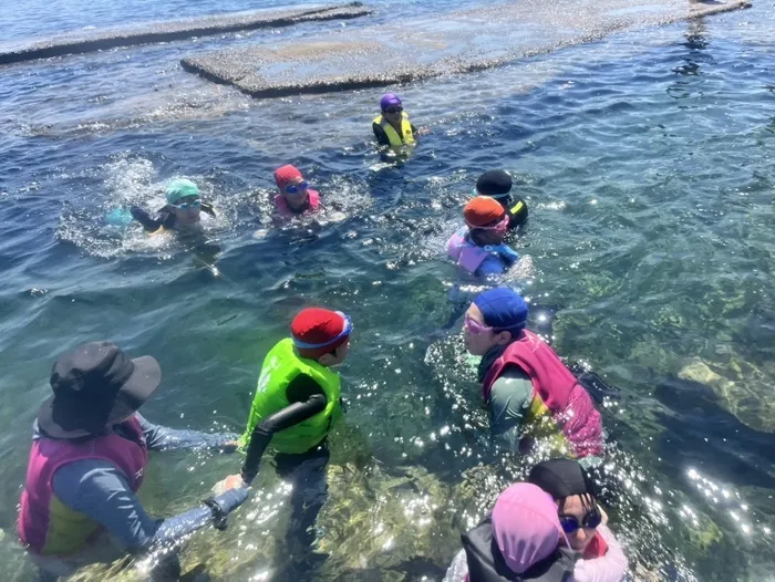 ジーニアスの卵/夏の思い出🌊☀️