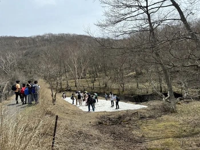 ジーニアスの卵/木登り🌲登山⛰️