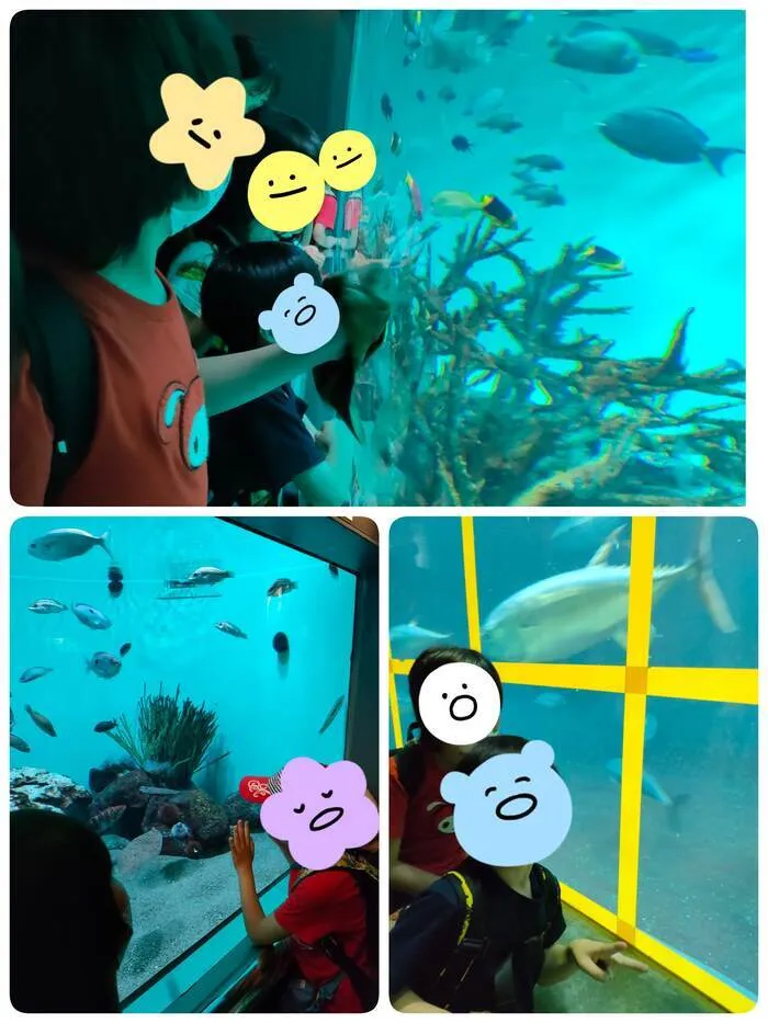 児童発達支援・放課後等デイサービス　ふらん新松戸/🐠葛西臨海水族園🐡