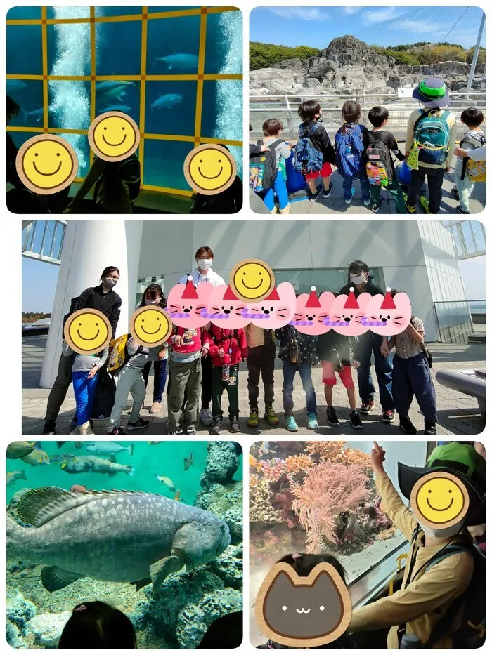 児童発達支援・放課後等デイサービス　ふらん新松戸/🐧葛西臨海水族園に行ってきました🐟