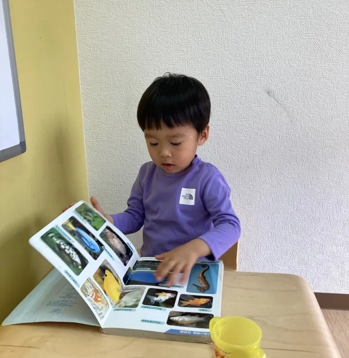 てらぴぁぽけっと長原駅前教室/見て🐠