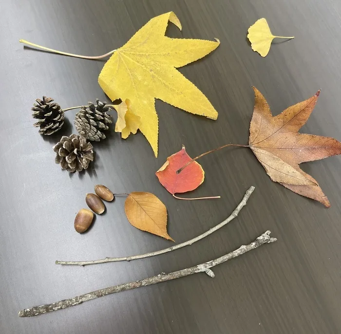 【見学受付中！お気軽にご連絡ください！】　おおきな木　東大阪吉田/🍁月曜日のアート体験🍁