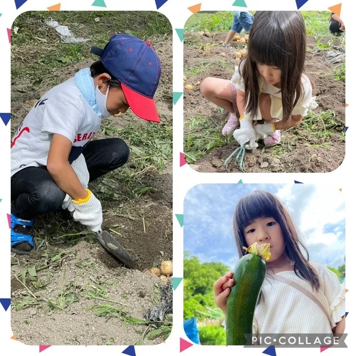 【見学受付中！お気軽にご連絡ください！】　おおきな木　東大阪吉田/農業体験〜❗️