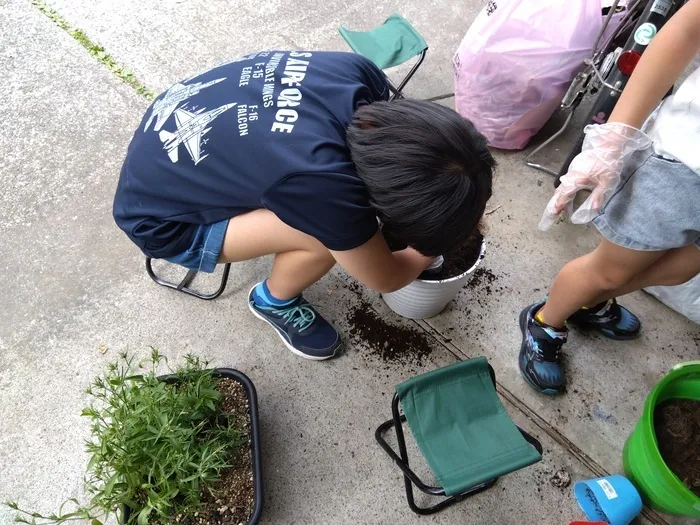 児童発達支援・放課後等デイサービスPocket/夏の野菜苗を植えました♡