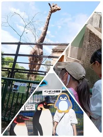 児童発達支援・放課後等デイサービスPocket/🐐羽村動物園🐧