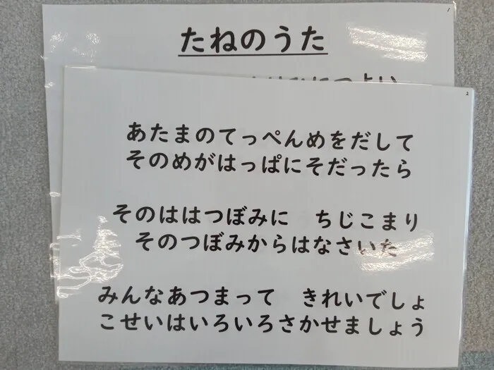 児童発達支援・放課後等デイサービス　チルハピ栗生教室/種の歌♪