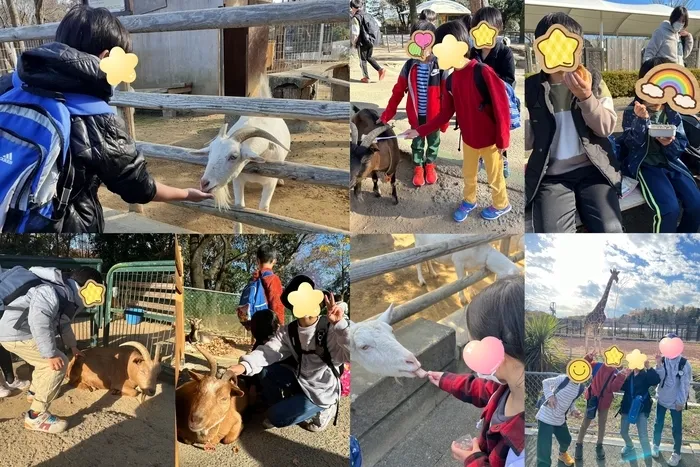 わくわくハウス スポーツ未来校/【スポーツ未来校】🐐子ども動物自然公園🦒