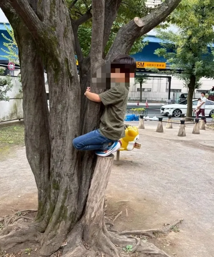 児童発達支援 スマイリーハーツ/🌿ふくし公園で遊んだよ🌸