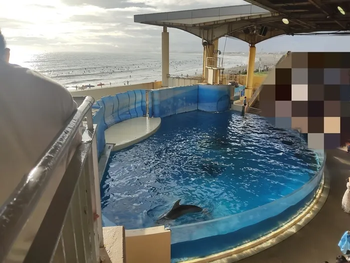 nijico辻堂駅前/映画館&クッキー作り🍪or江ノ島水族館🐟🐠