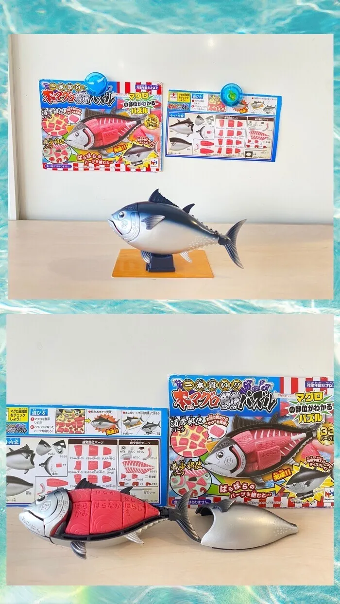 こどもサポート広場 minatos 綱島店/マグロ立体パズル🐟