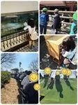 こすもすカレッジジュニア新松戸教室/市川動植物園