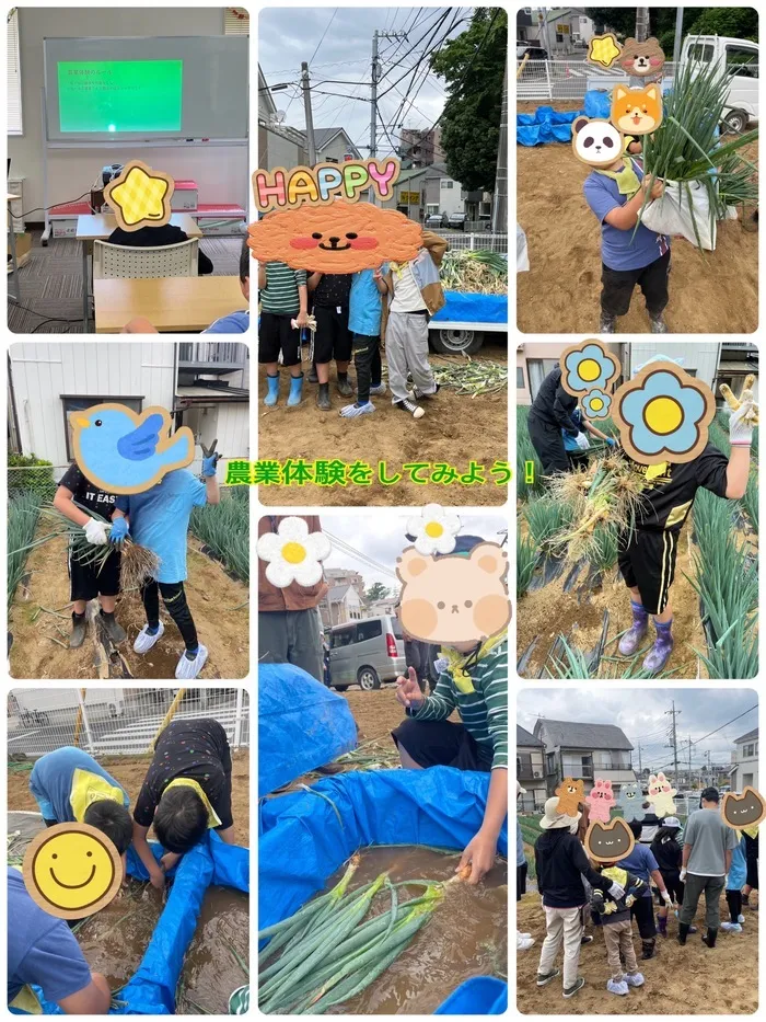 こすもすカレッジジュニア新松戸教室/農業体験をしてみよう！