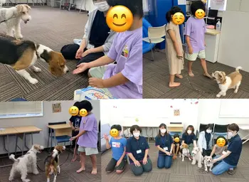 こすもすカレッジジュニア新松戸教室/犬とのふれあい(^▽^)