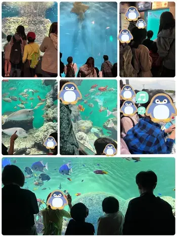 こすもすカレッジジュニア新松戸教室/葛西臨海水族館に行って来ました！