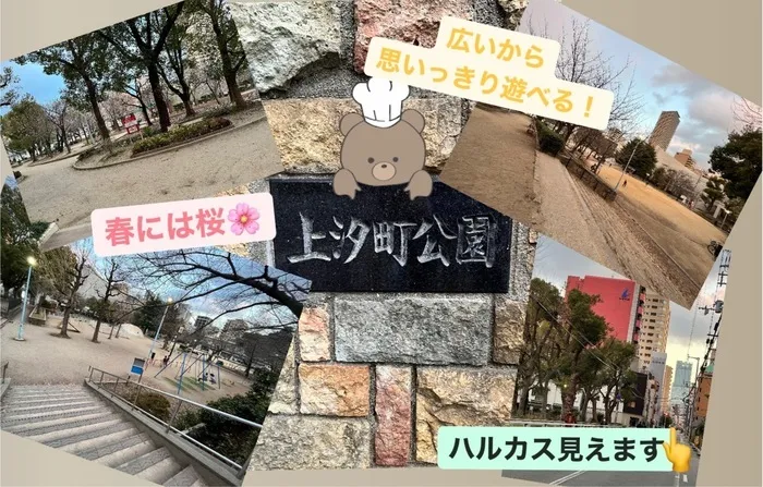 児童発達支援スマイル　夕陽丘店/上汐町公園🌸🌲