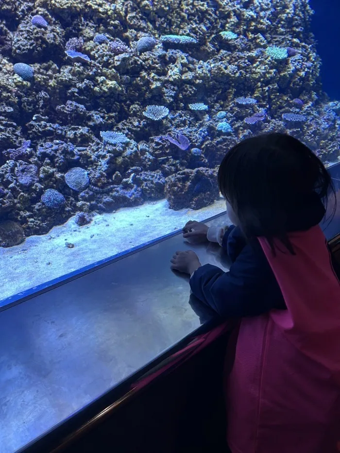 ふれあい児童発達支援・放課後等デイサービス　浦安教室/水族館