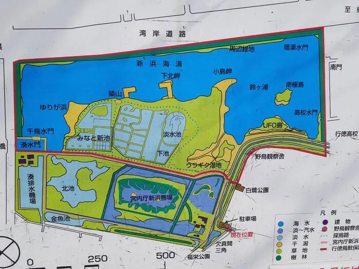 ふれあい児童発達支援・放課後等デイサービス　浦安教室/おでかけ