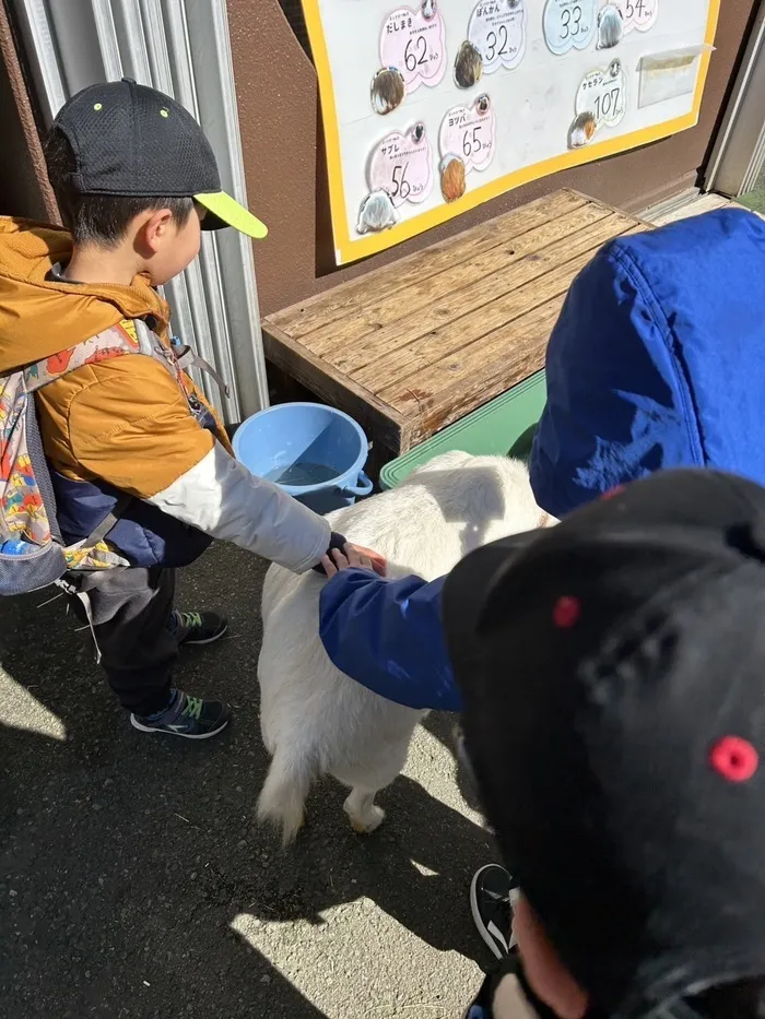 ふれあい児童発達支援・放課後等デイサービス　浦安教室/市川動植物園