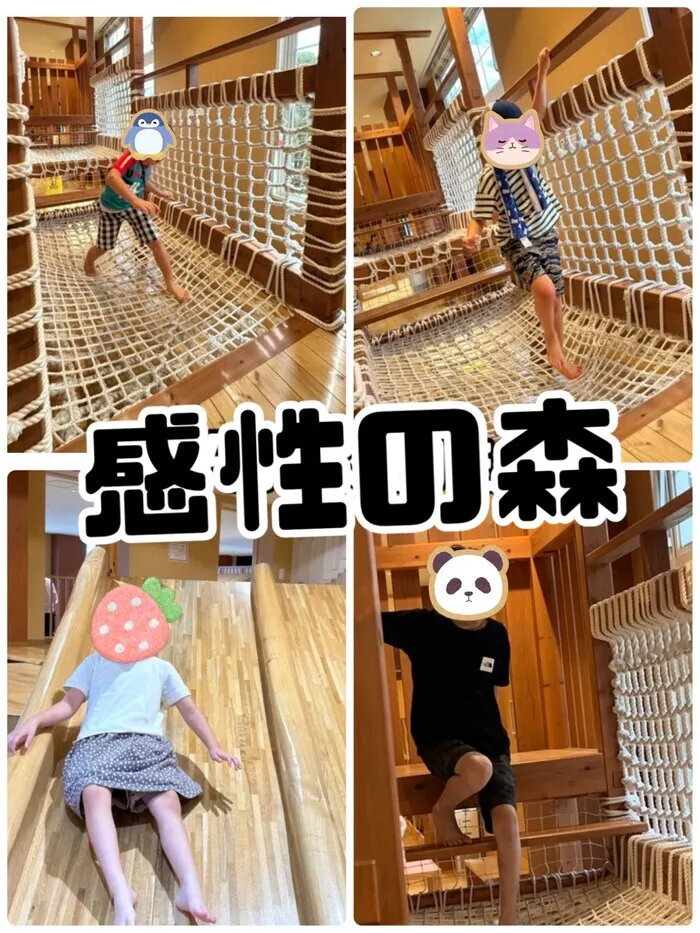 放課後等デイサービス＆児童発達支援ウィズ・ユー北仙台/感性の森🌳