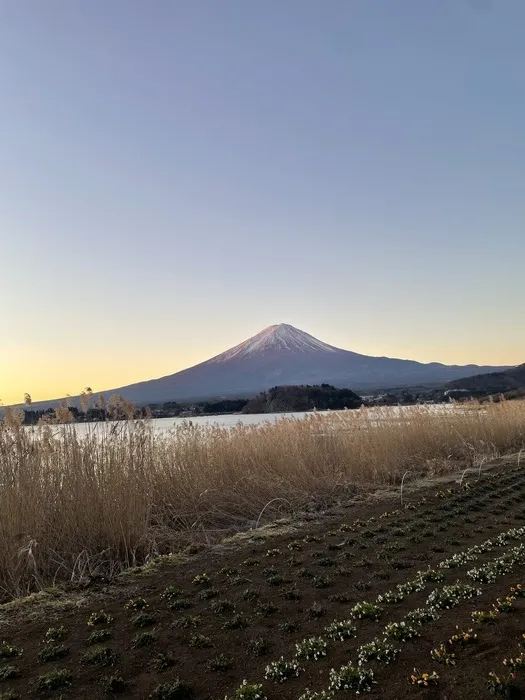 エメファミーユ鷺沼/能登半島地震発生から１年