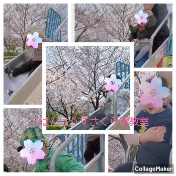 こぱんはうすさくら　堺教室/【外出】桜を見に行きました！