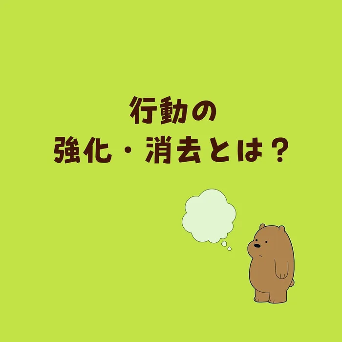 てらぴぁぽけっと　名古屋名城公園教室/行動の強化・消去とは？