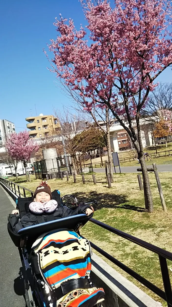 tetote赤れんが重症心身障害児放課後等デイサービス/☆桜が咲いたよ☆