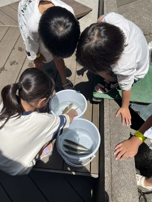  Happiness kids 千早（ハピネスキッズチハヤ）/ヤマメのつかみどり体験🐟