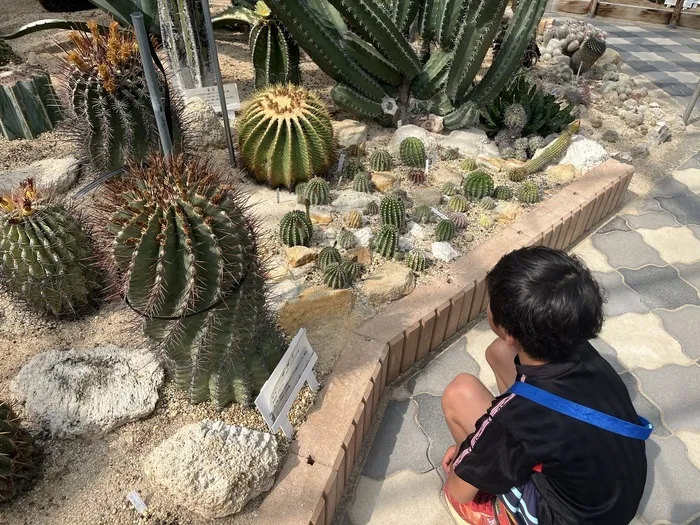  Happiness kids 千早（ハピネスキッズチハヤ）/サボテンハウス🌵