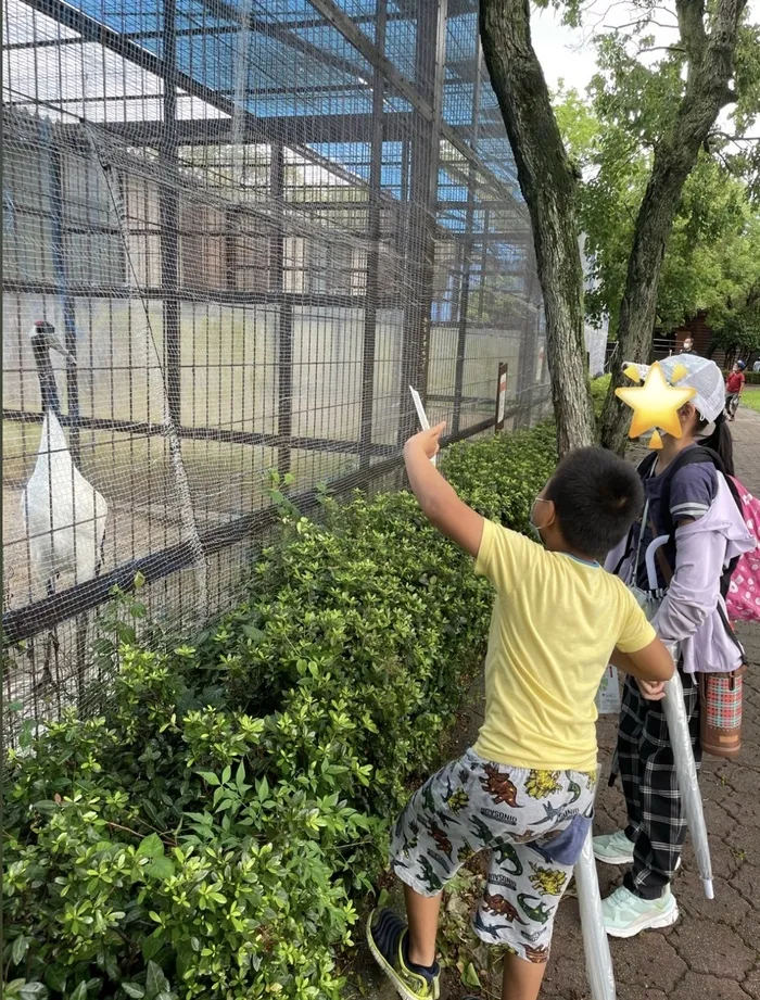  Happiness kids 千早（ハピネスキッズチハヤ）/ドキドキの鳥類センター！🐓