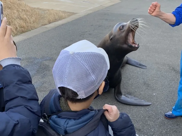  Happiness kids 千早（ハピネスキッズチハヤ）/マリンワールドに行って来ました！🐬✨