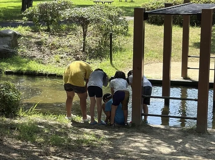  Happiness kids 千早（ハピネスキッズチハヤ）/水上アスレチック🏞️