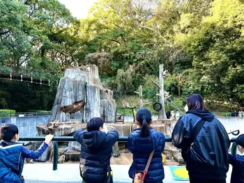  Happiness kids 千早（ハピネスキッズチハヤ）/福岡市動植物園🦒🐘動物鑑賞🐒️🦁