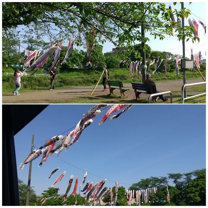 【 2022年2月1日開設 】 たまキッズルーム 日野万願寺/子どもの日🎏