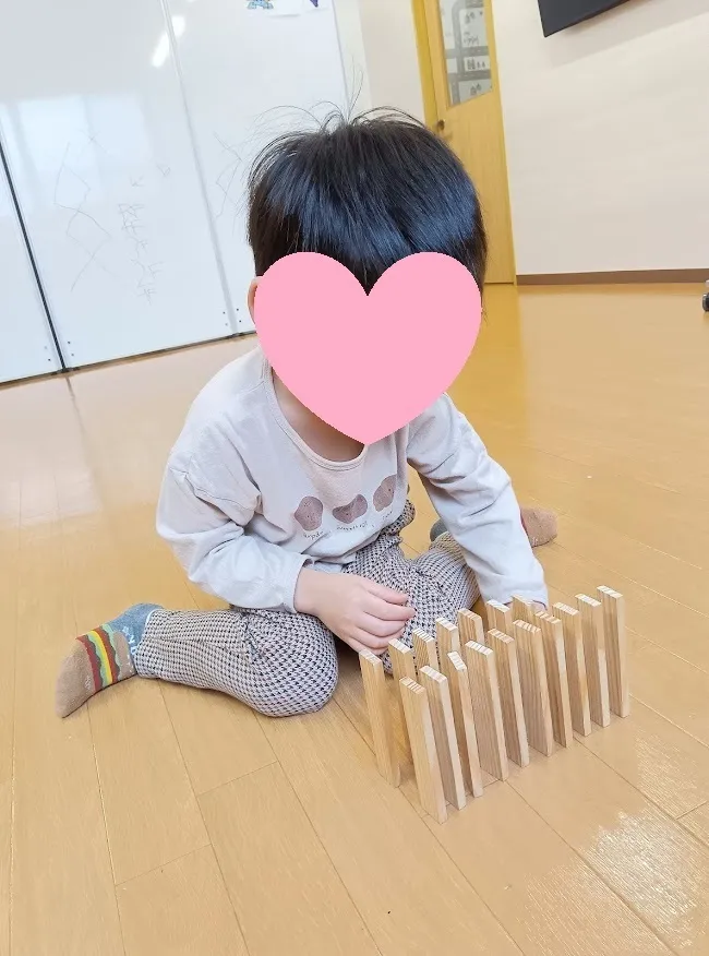 イーライフジュニア・プラス/カプラドミノ